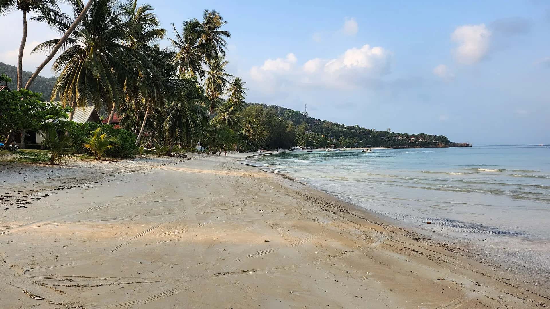 The long sandy curve of Haad Yao beach backed by palm trees