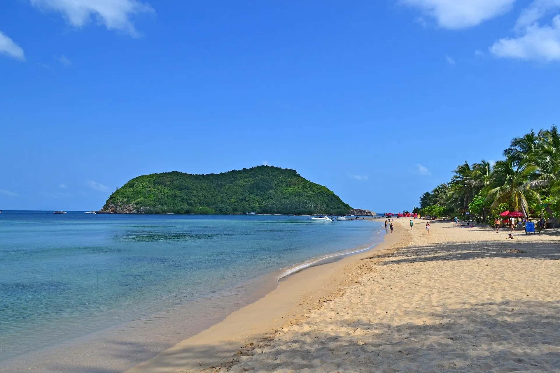 Mae Haad beach curving towards the small green island of Koh Ma