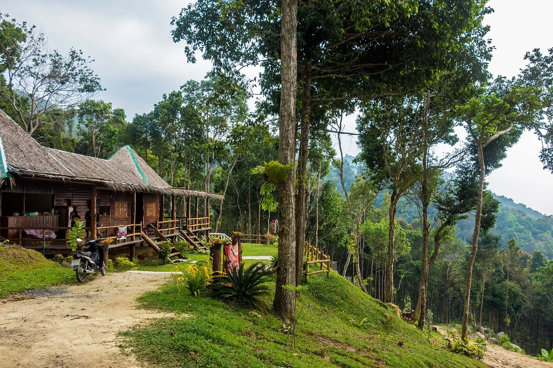 A wooden bungalow with a thatched roof on a green hillside among tall trees