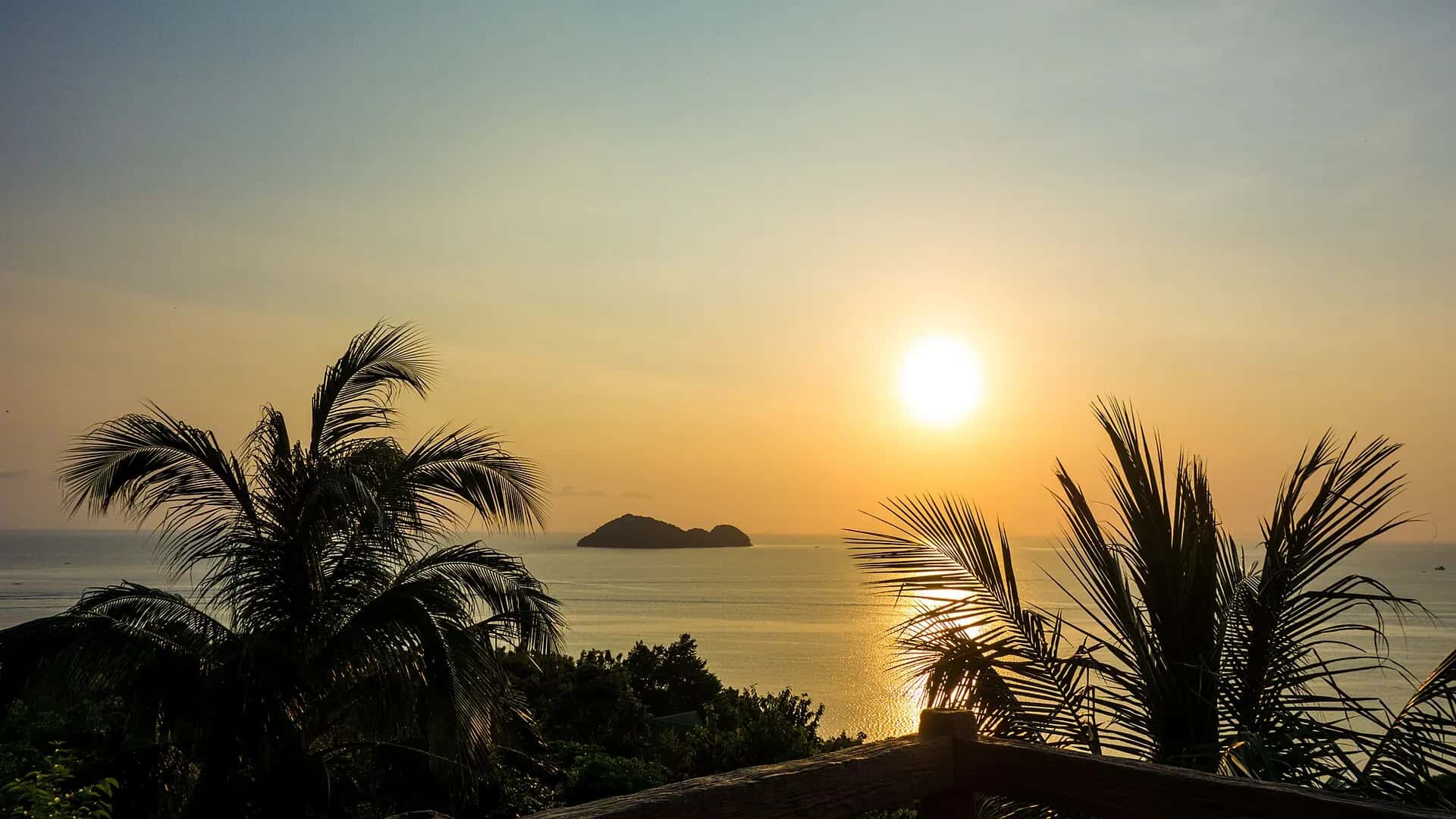 The sun setting behind a small island, framed by palm silhouettes