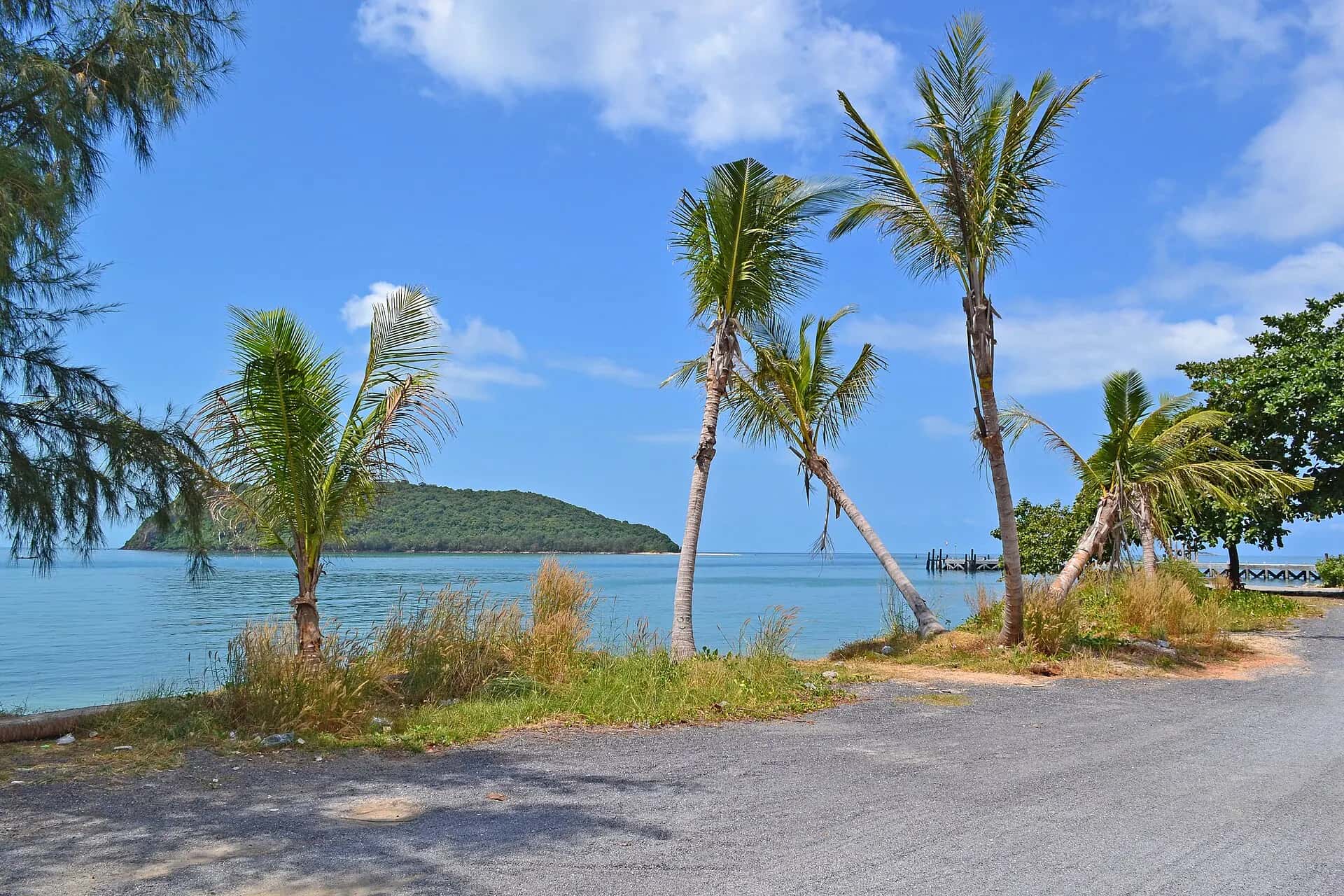 Palm trees along the seafront road near Thong Sala pier, with a small island offshore